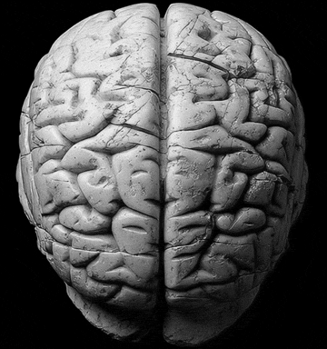 AI brain 3D animated model